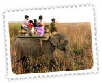 Assam Wildlife Sanctuaries