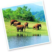 Periyar Wildlife Sanctuary, Kerala